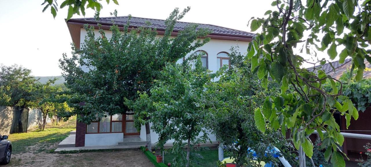 Agropensiunea Olteanu Niculitel Extérieur photo